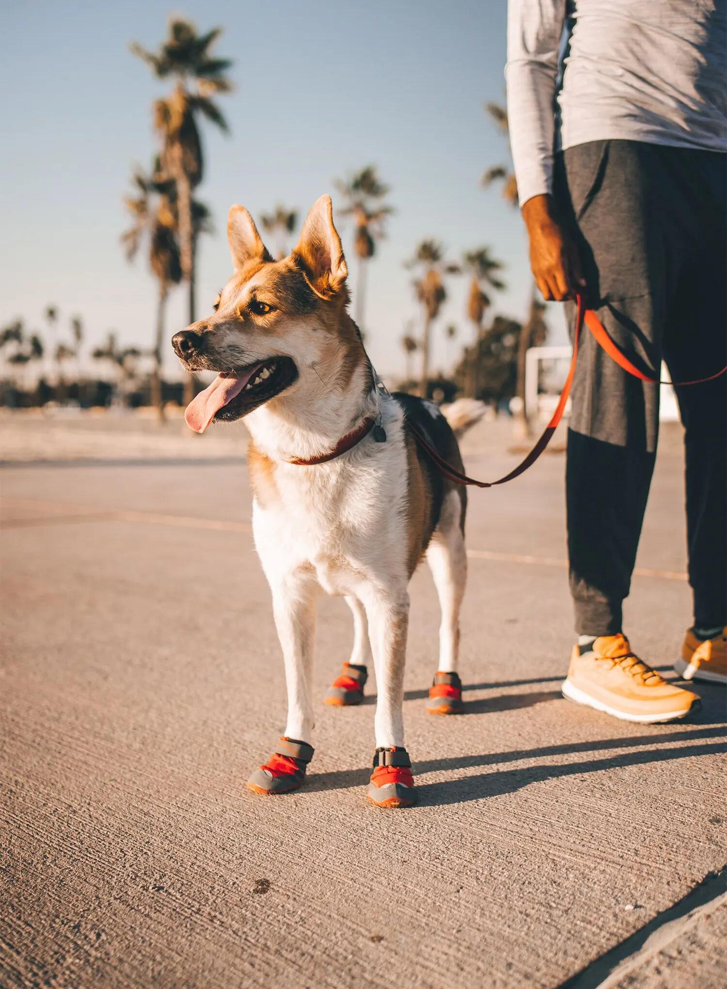 Buty dla psa Ruffwear Grip Trex 2/6