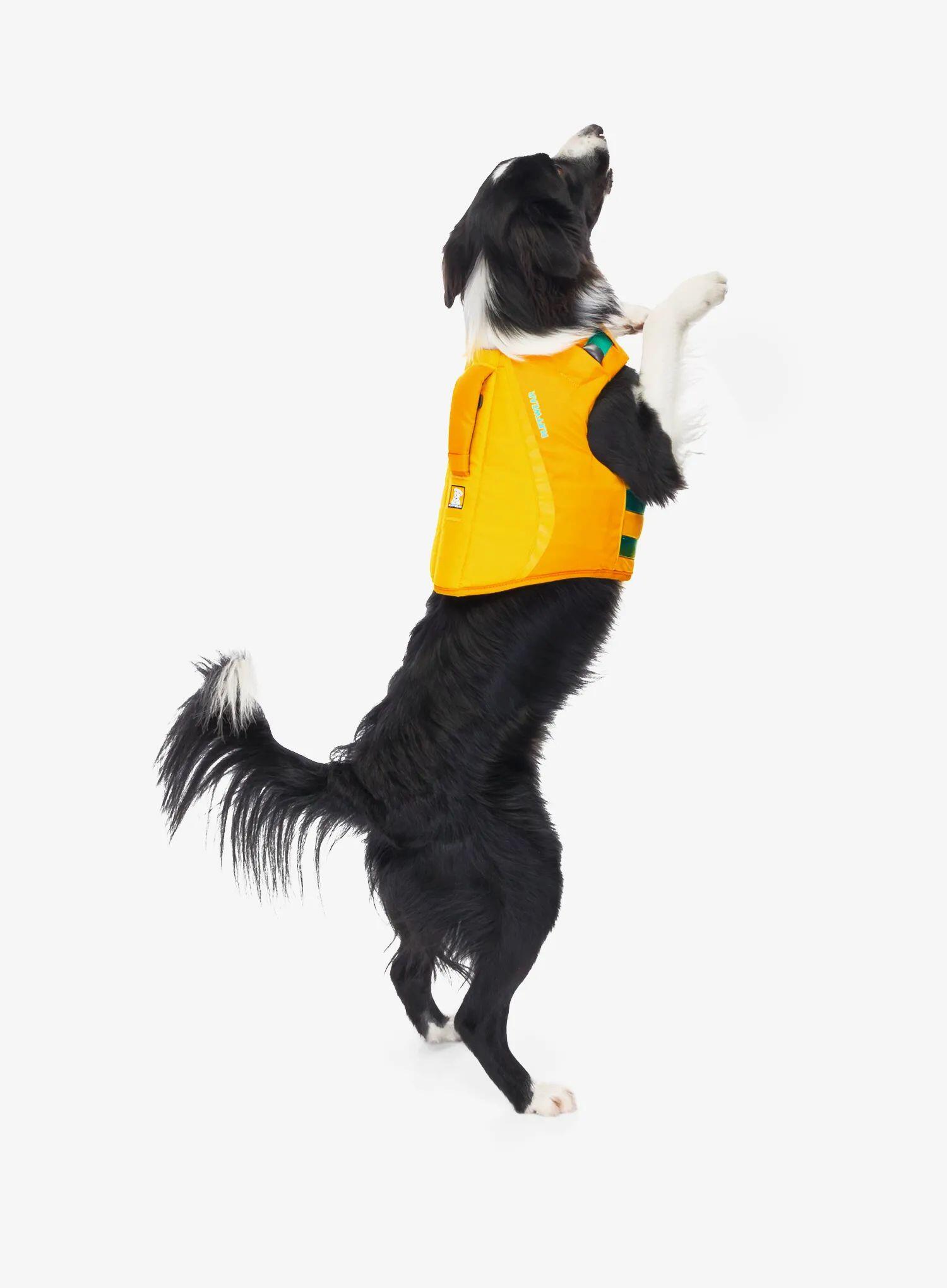 Gilet pour chien Ruffwear Float Coat 6/7
