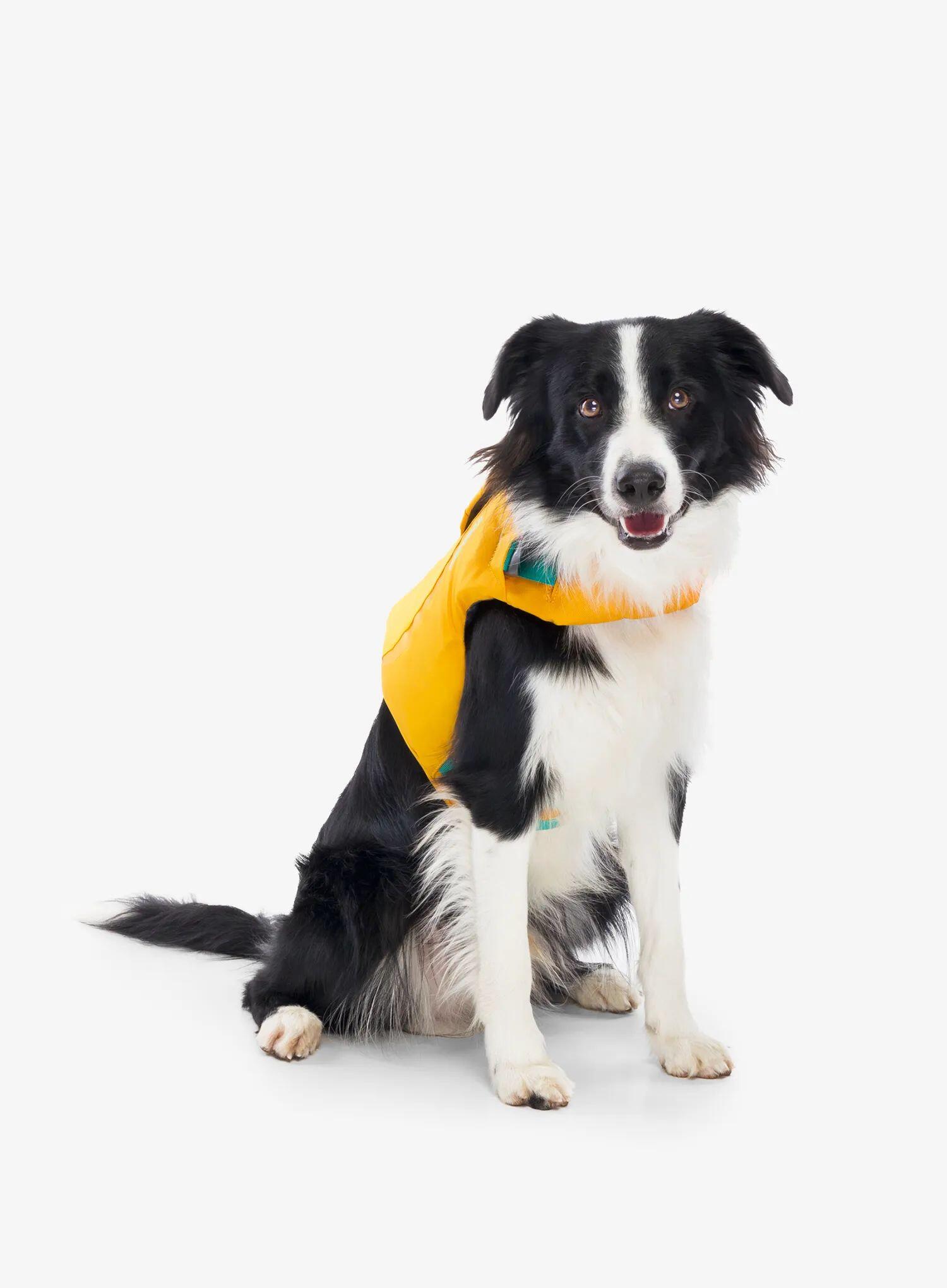 Gilet pour chien Ruffwear Float Coat 4/7