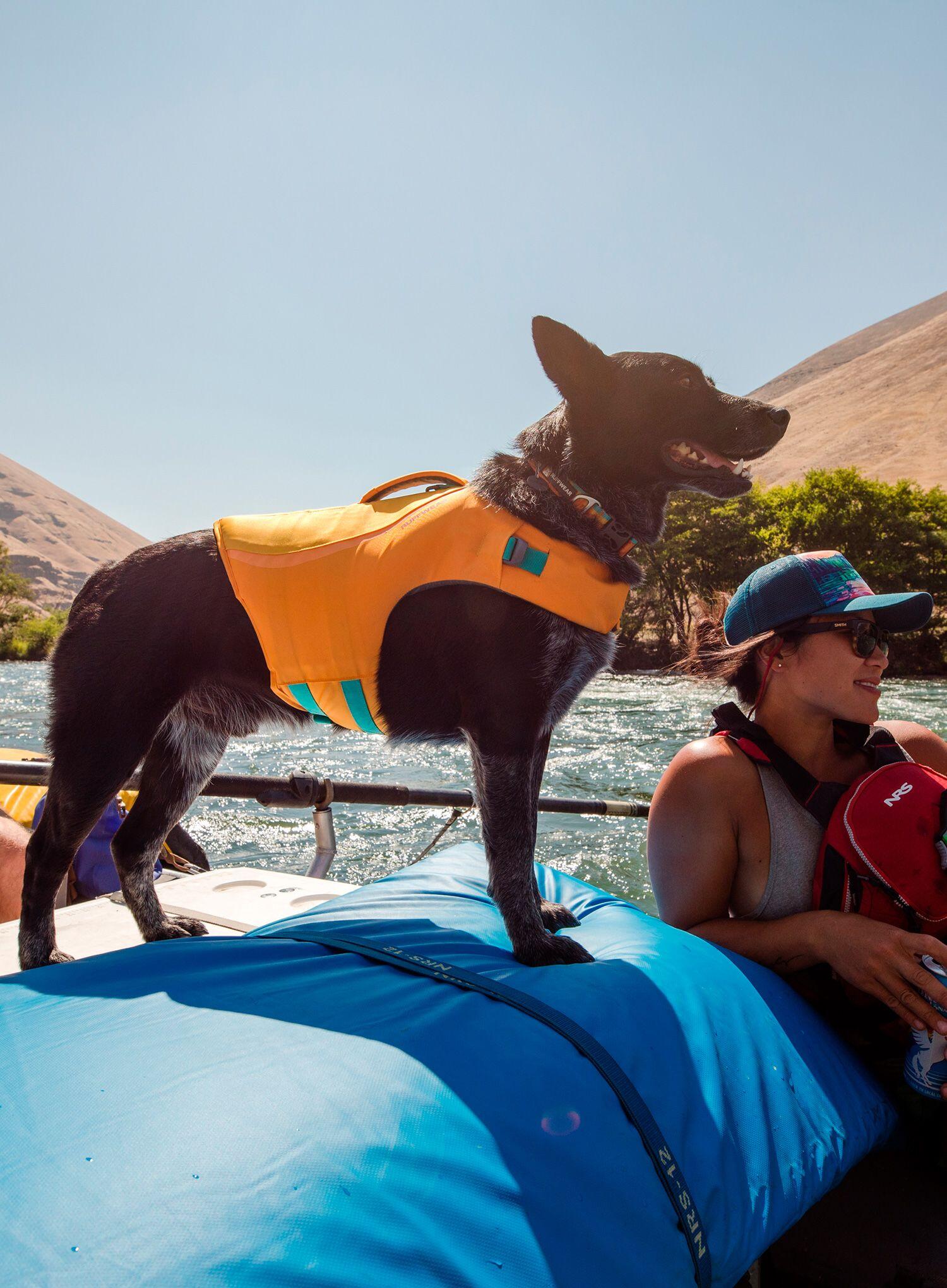 Gilet pour chien Ruffwear Float Coat 5/7