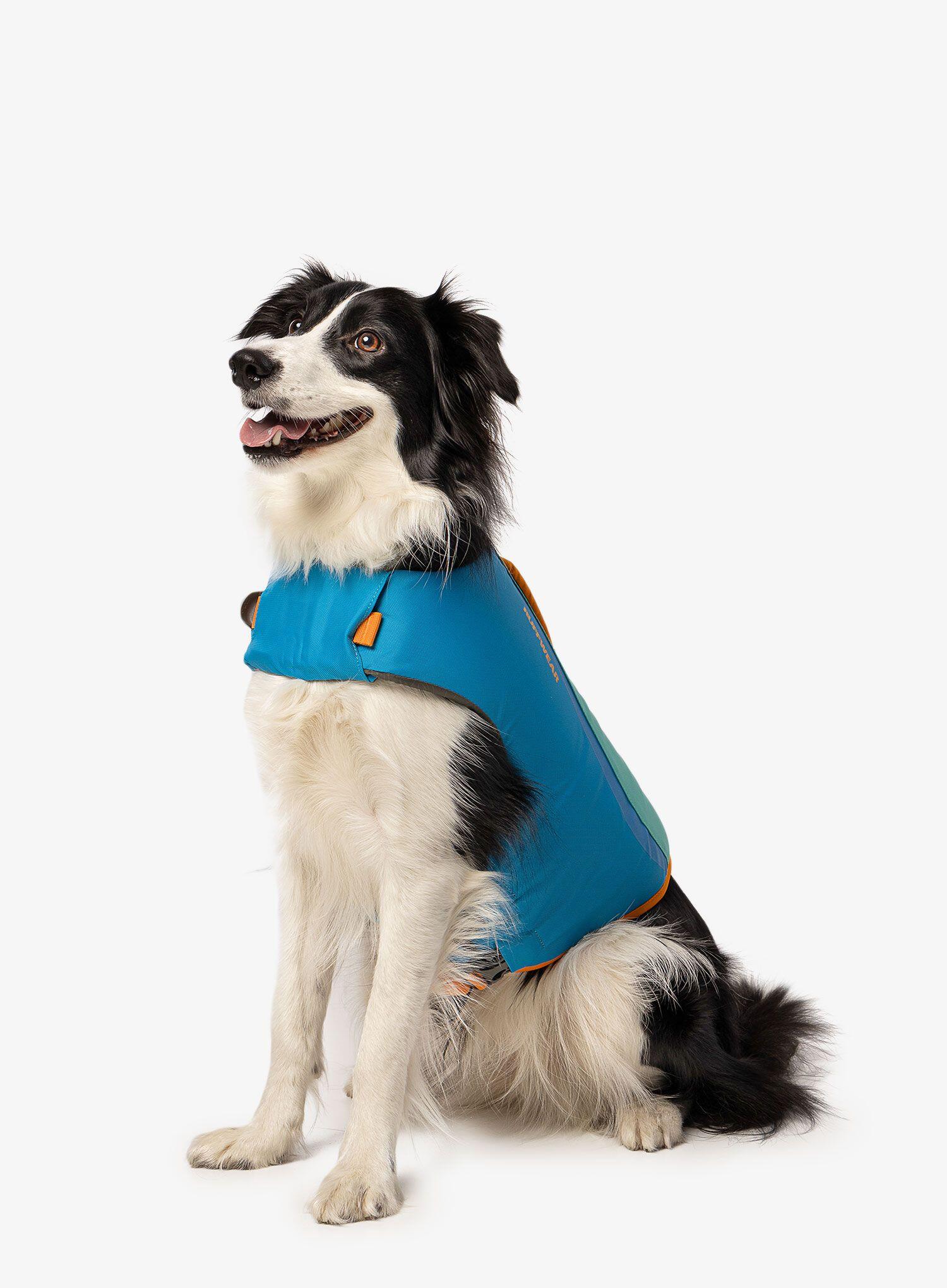 Kamizelka ratunkowa dla psa Ruffwear Float Coat Dog Life Jacket 7/7
