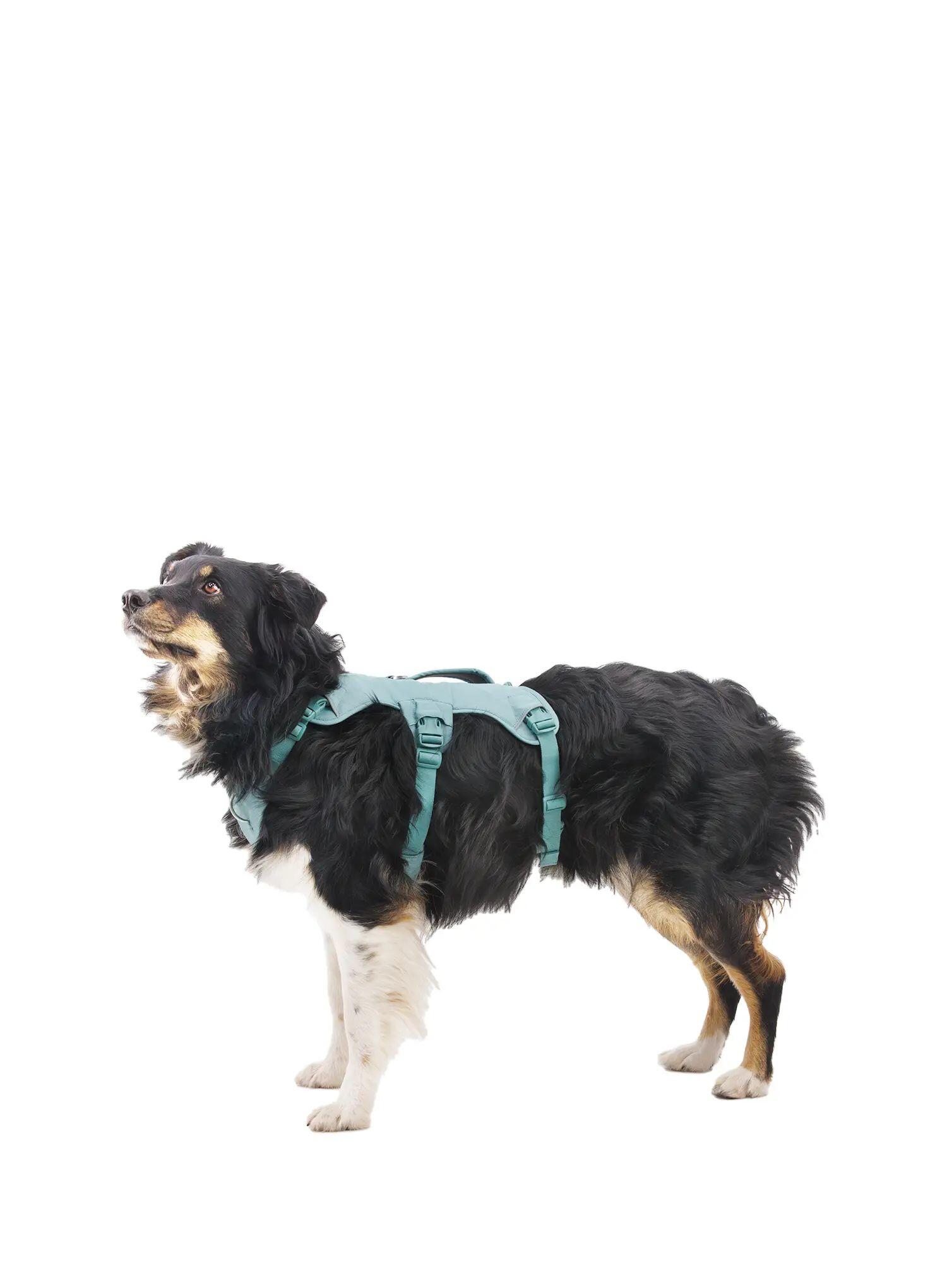 Szelki dla psa Ruffwear Web Master Harness 2/7