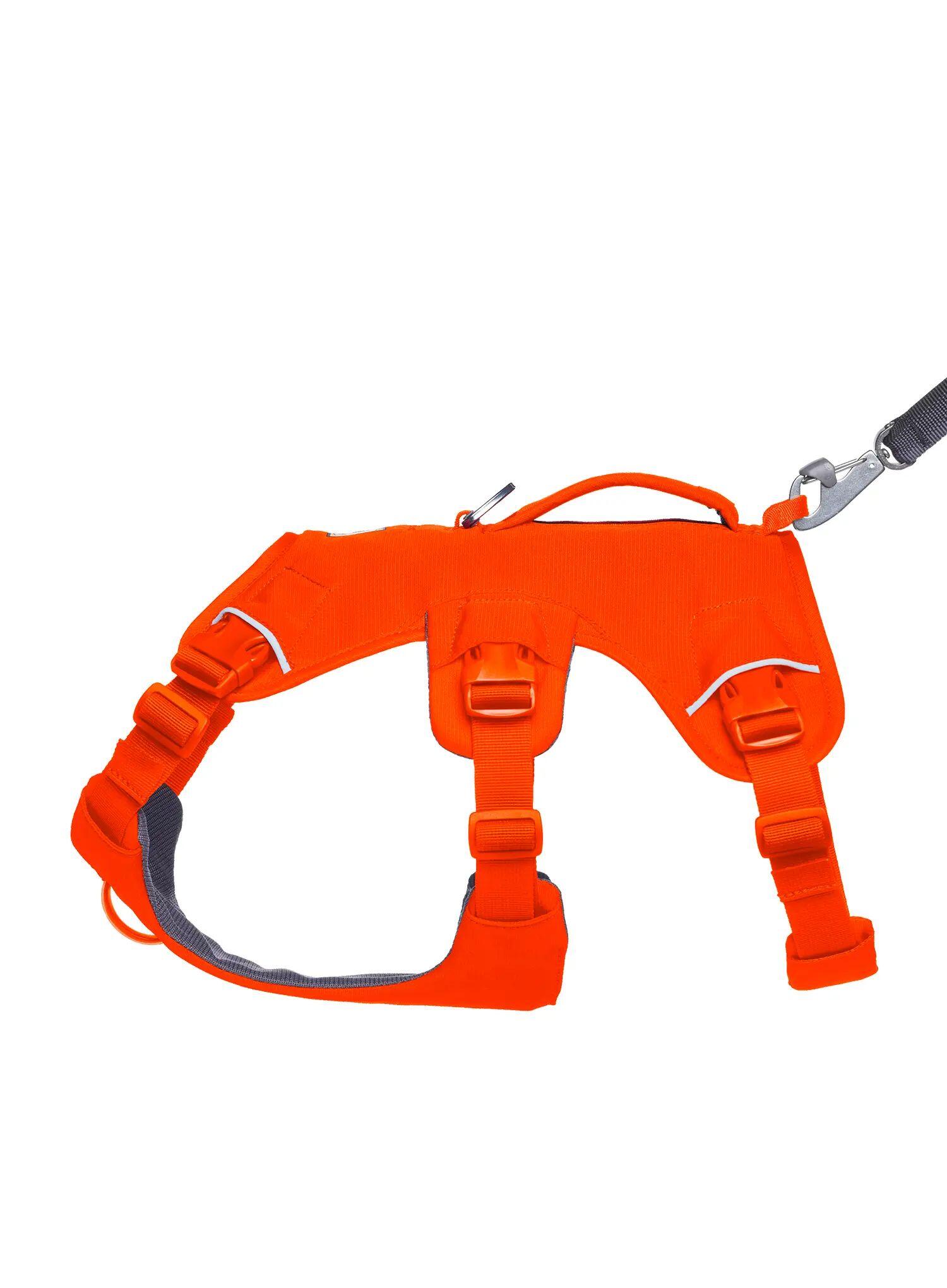 Szelki dla psa Ruffwear Web Master Harness 6/7
