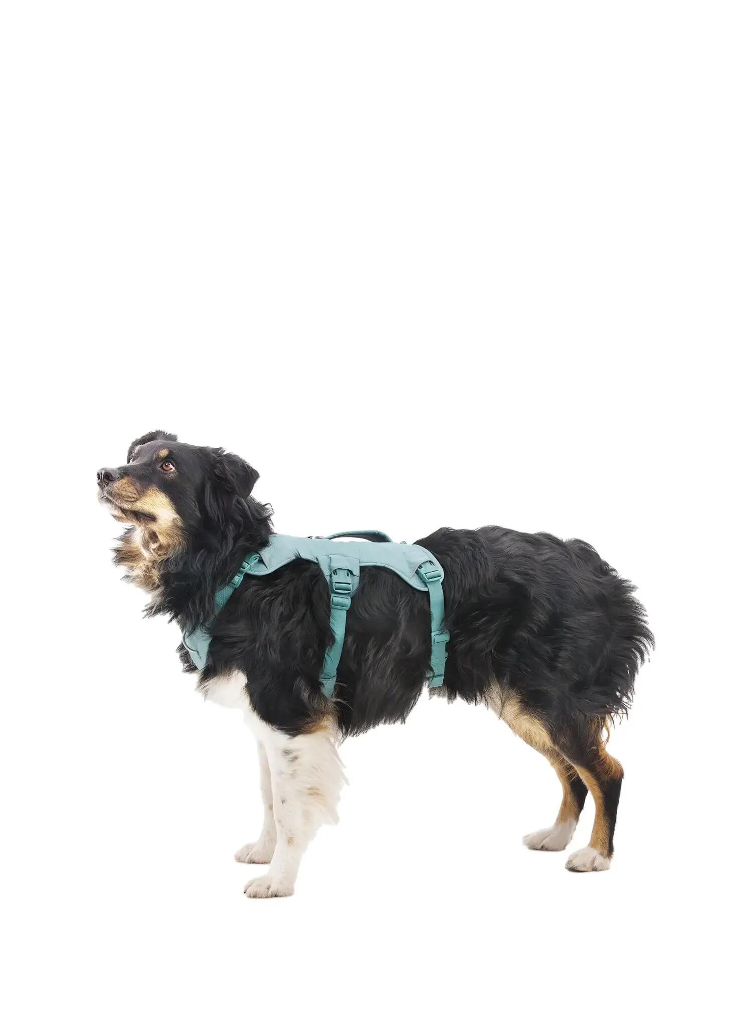 Szelki dla psa Ruffwear Web Master Harness 2/7