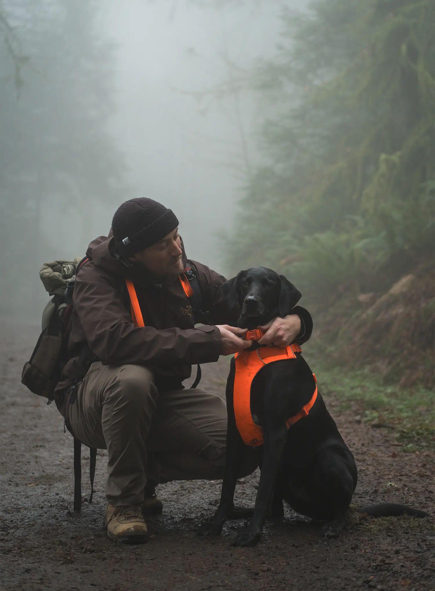 Szelki dla psa Ruffwear Web Master Harness 5/7