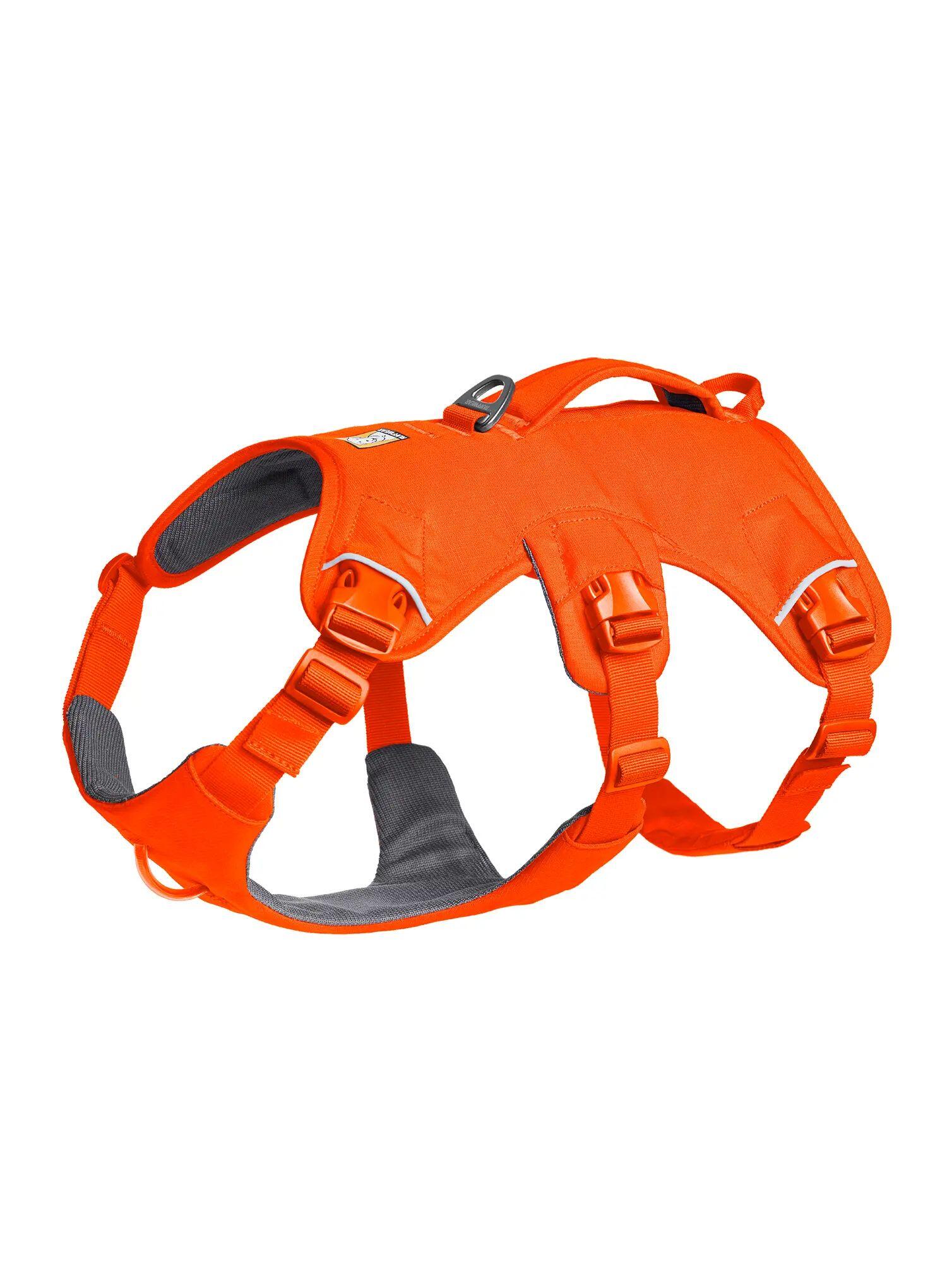 RUFFWEAR picture