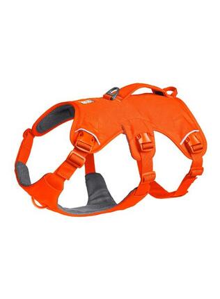 Szelki dla psa Ruffwear Web Master Harness