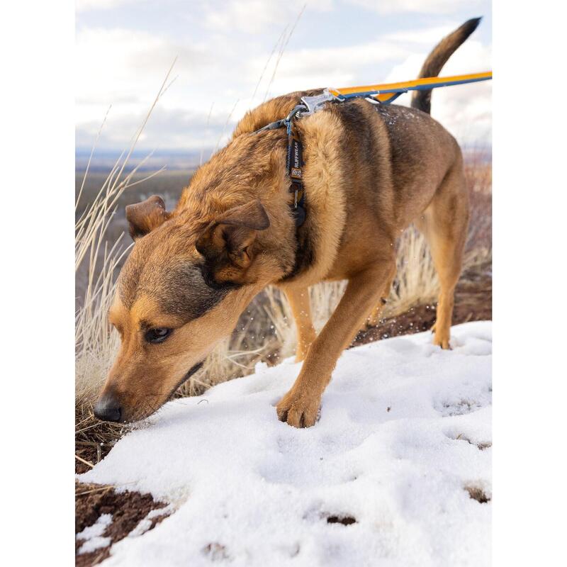 Smycz dla psa Ruffwear Roamer Bungee Leash