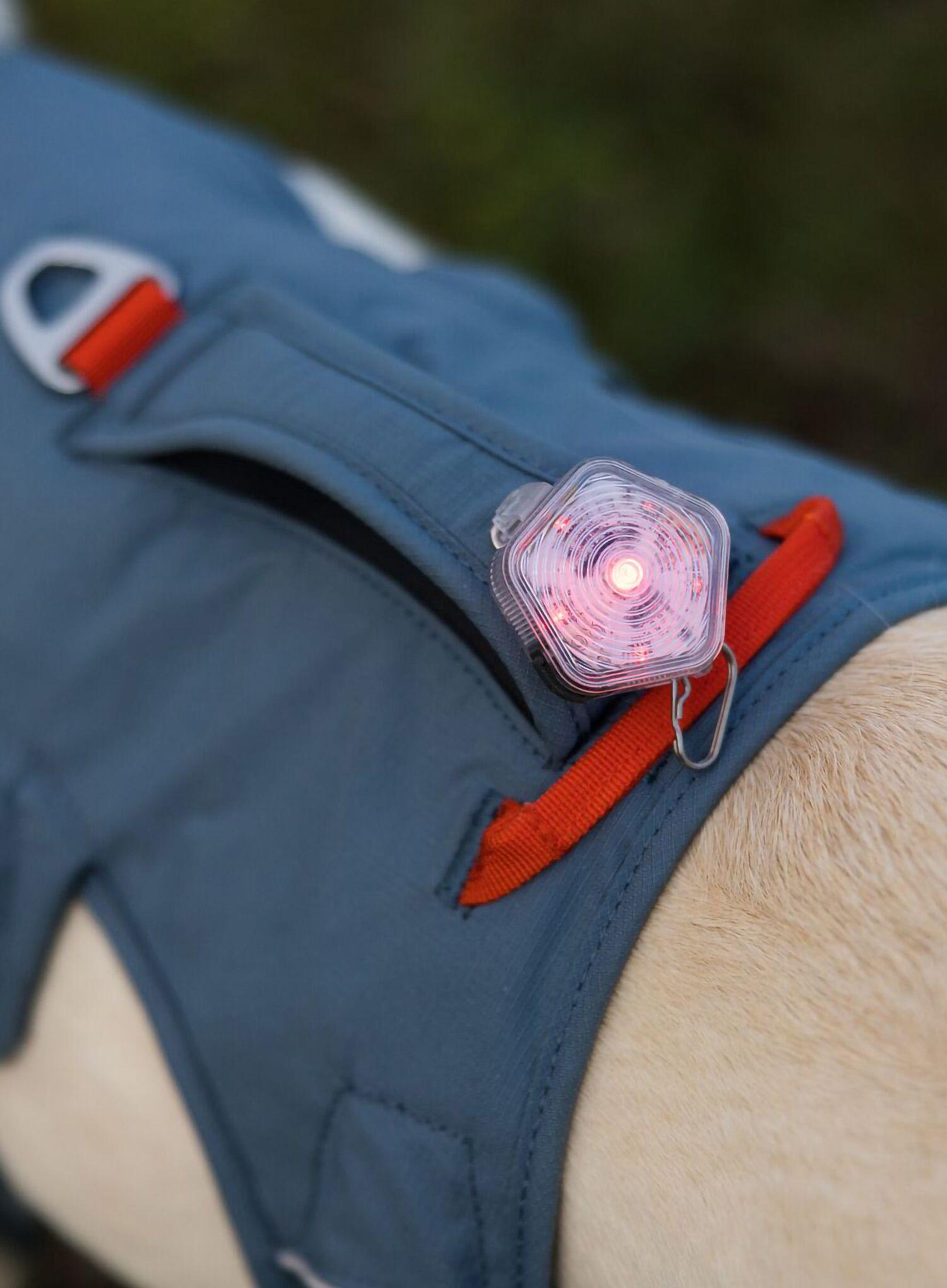 Balise pour chien Ruffwear The Beacon 3/7