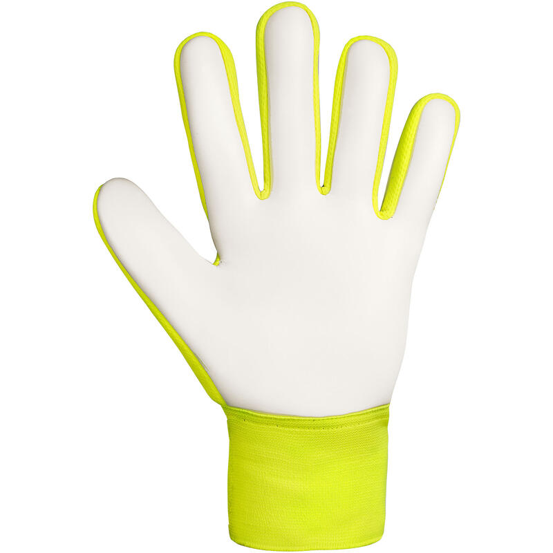 Manusi portari Attrakt Starter Solid