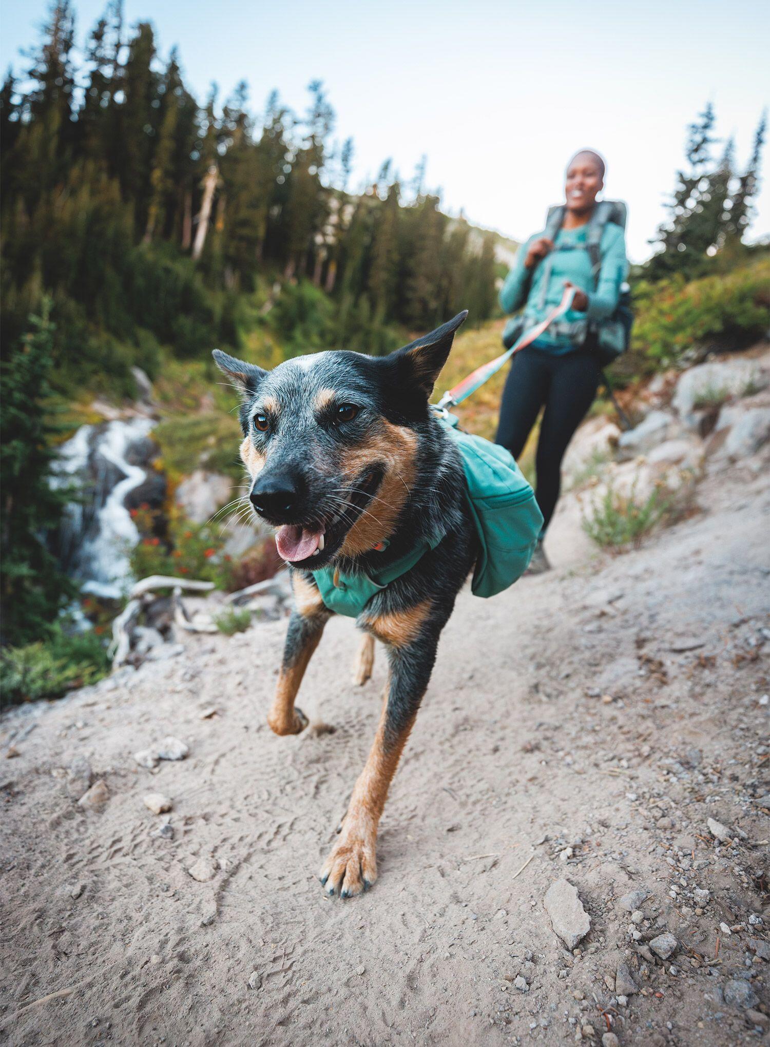 Plecak dla psa Ruffwear Front Range Day Pack 5/7