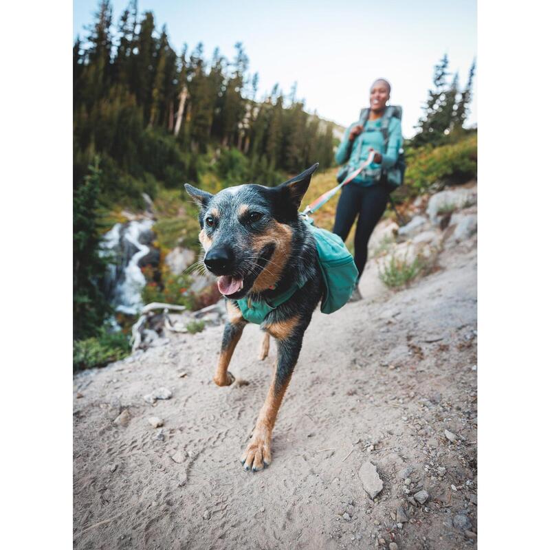 Plecak dla psa Ruffwear Front Range Day Pack