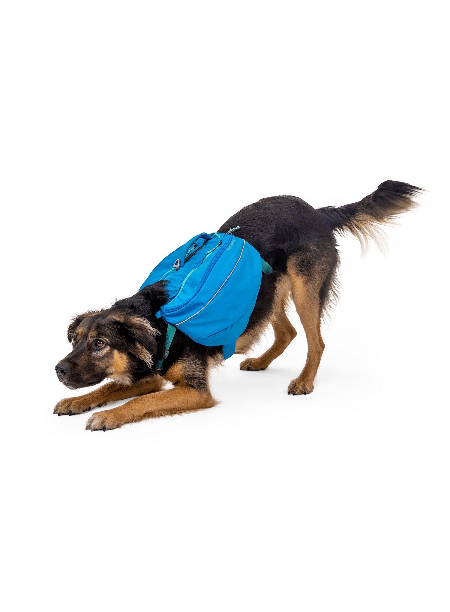 Sakwy dla psa Ruffwear Approach Dog Backpack 5/7