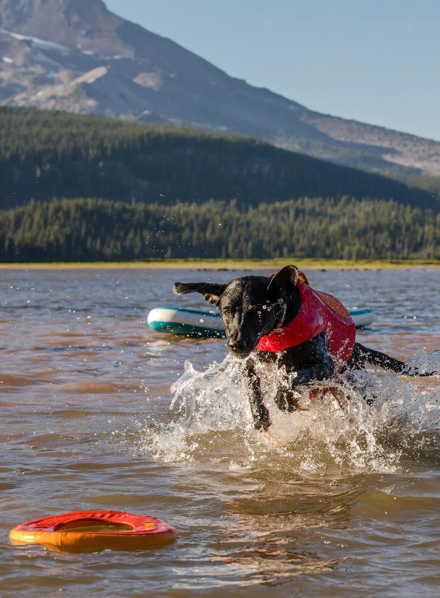 Zabawka dla psa Ruffwear Hydro Plane Toy 5/5