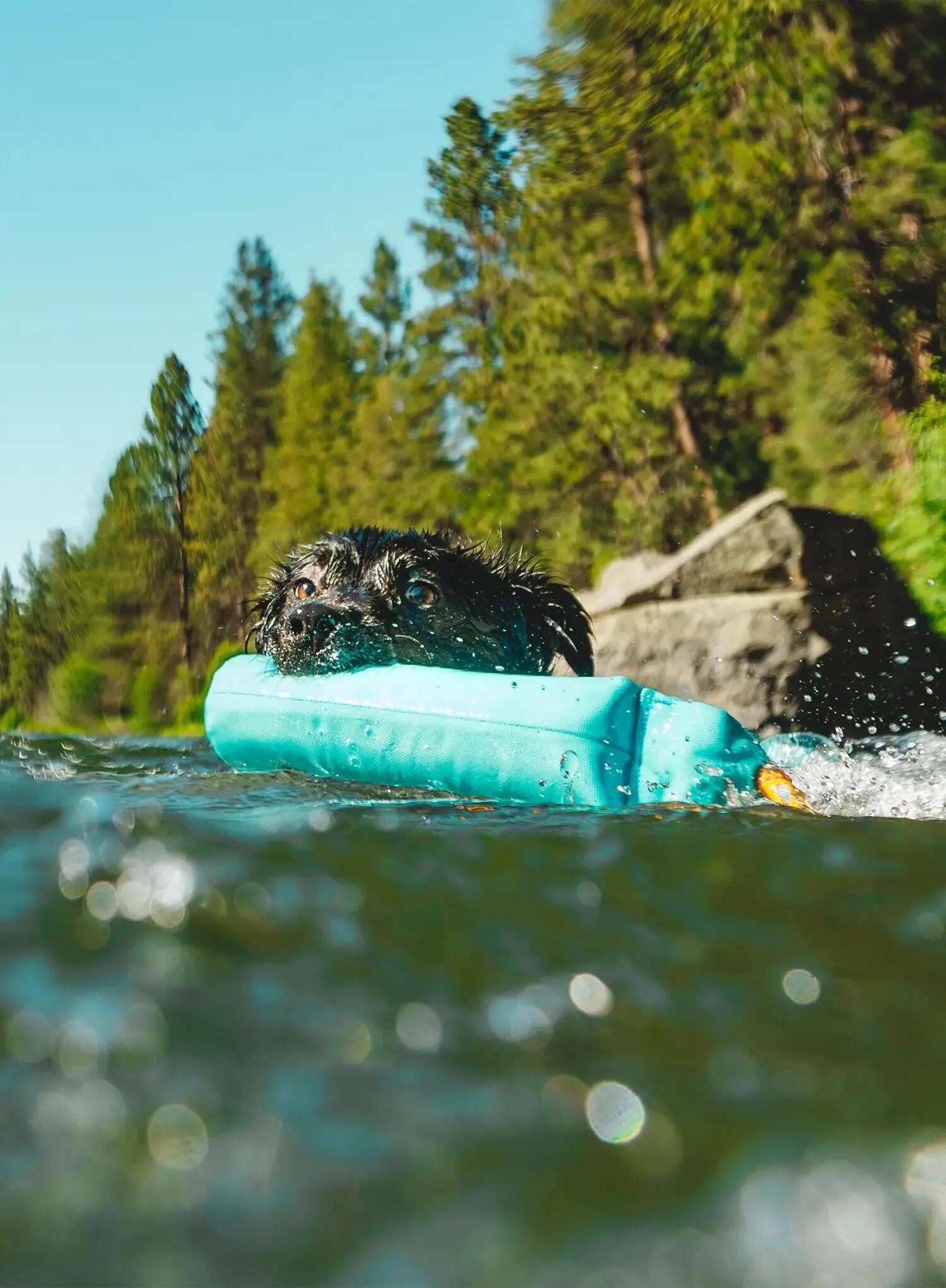 Zabawka dla psa Ruffwear Lunker Toy - biolumin blue 2/7