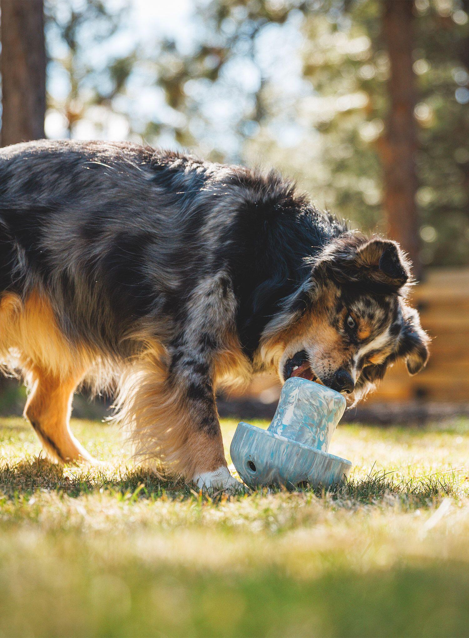 Zabawka dla psa Ruffwear Porcini Dog Toy - blue prism 3/3