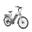 Bicicletă electrică de oraș JOBOBIKE COMMUTER 250W 36V 18.2Ah Baterie