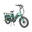 Bicicletă electrică cargo JOBOBIKE Transer 48V13AH cu baterie dublă