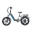 Bicicletă electrică pentru adulți JOBOBIKE Romer Pro 250W 48V 15AH Baterie