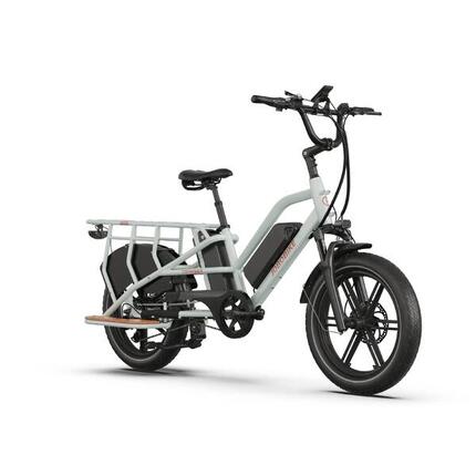 Vélo cargo électrique JOBOBIKE Transer 48 V 13 Ah à double batterie