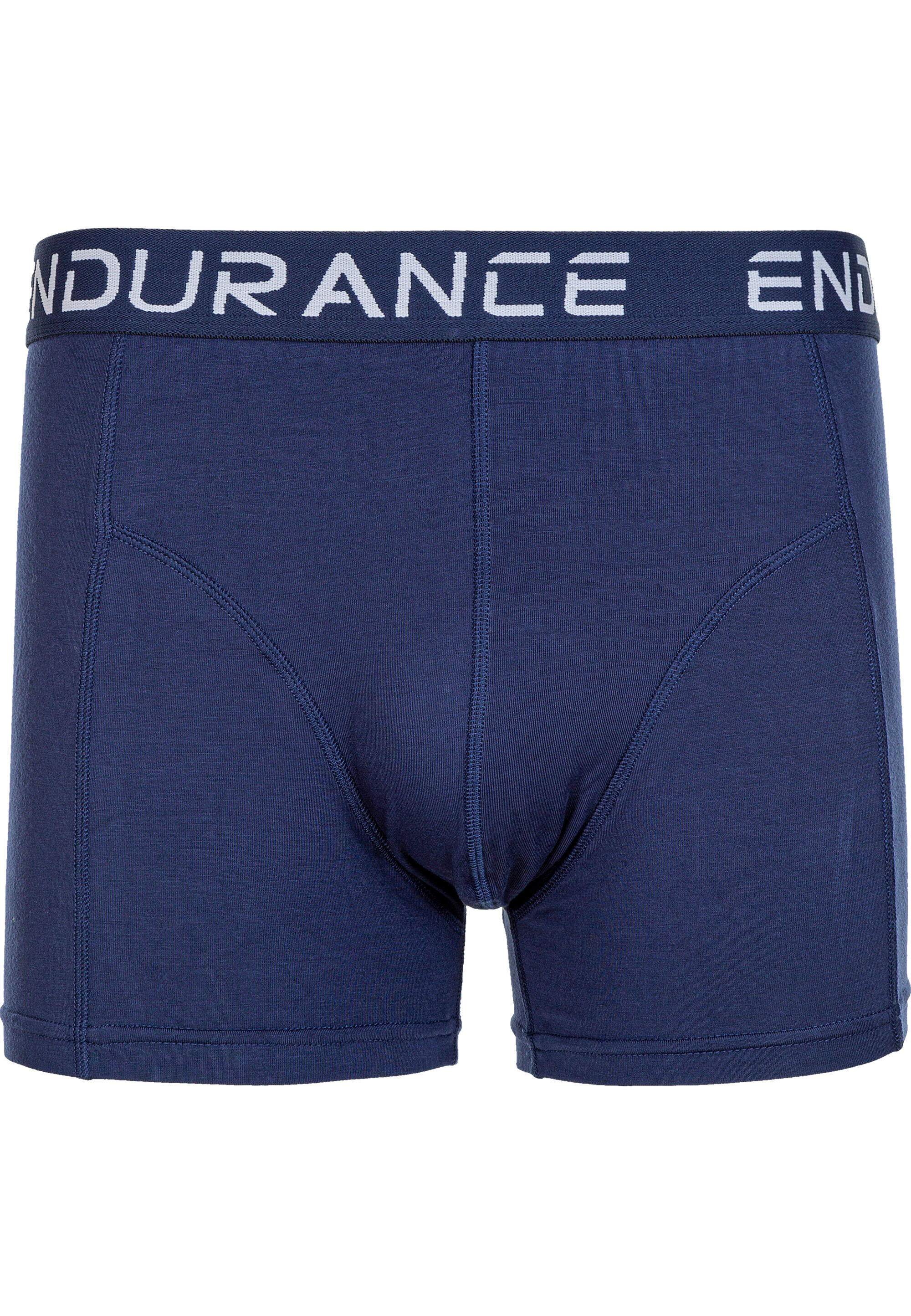 ENDURANCE picture