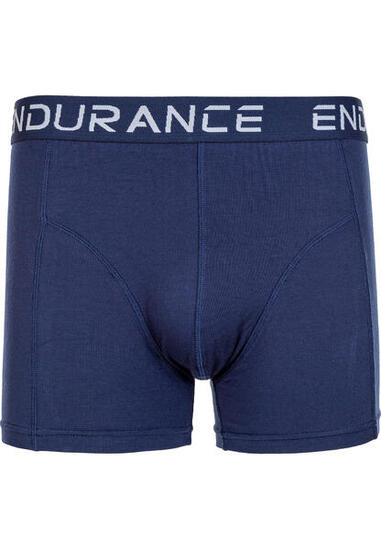 Boxer Endurance Brighton