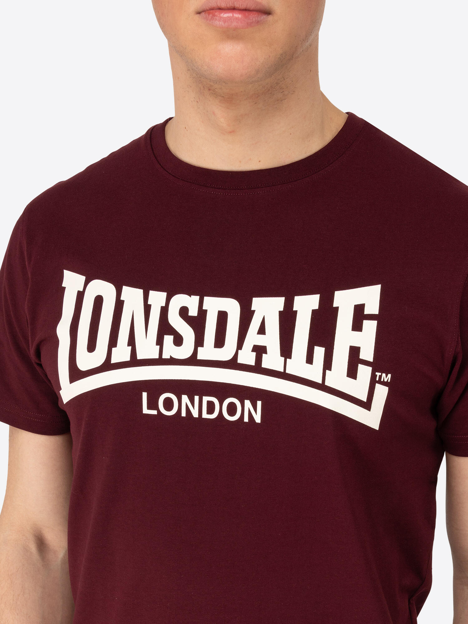 LONSDALE Heren-T-shirt normale pasvorm VOLWOOD 6/6
