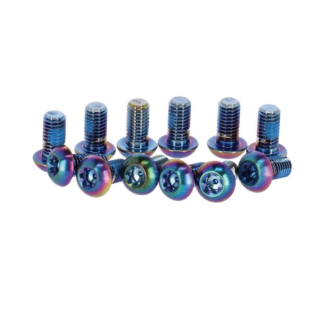 Brake disc screw kit Sram T25 (x12)