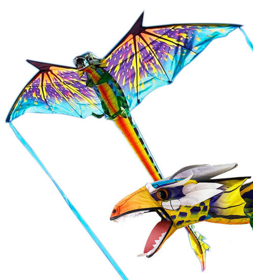 Cerf-volant pour enfants X-Kites 3D Dragon 2190030 Vert 195 x 86 cm