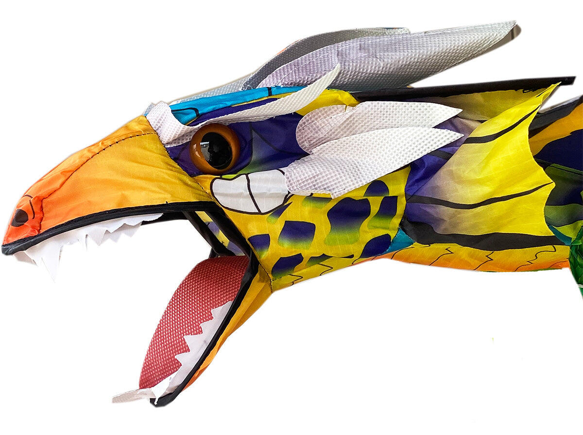 Kindervlieger X-Kites 3D Dragon 2190030 Groen 195 x 86 cm 3/5
