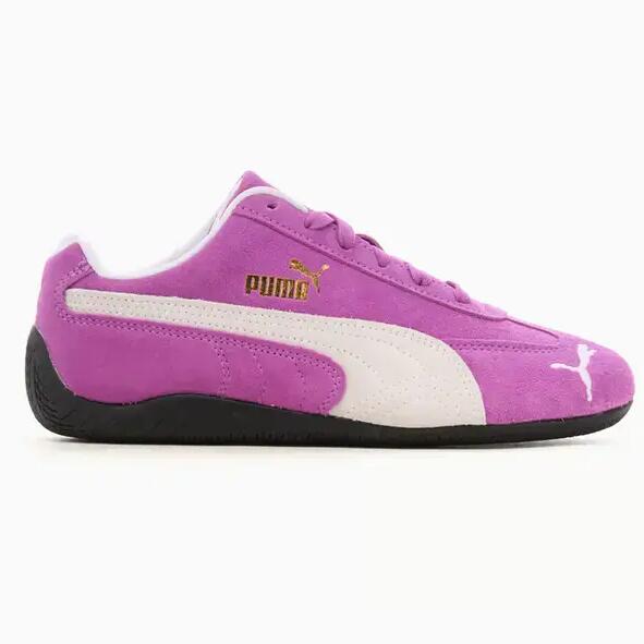 PURPLE / PINK