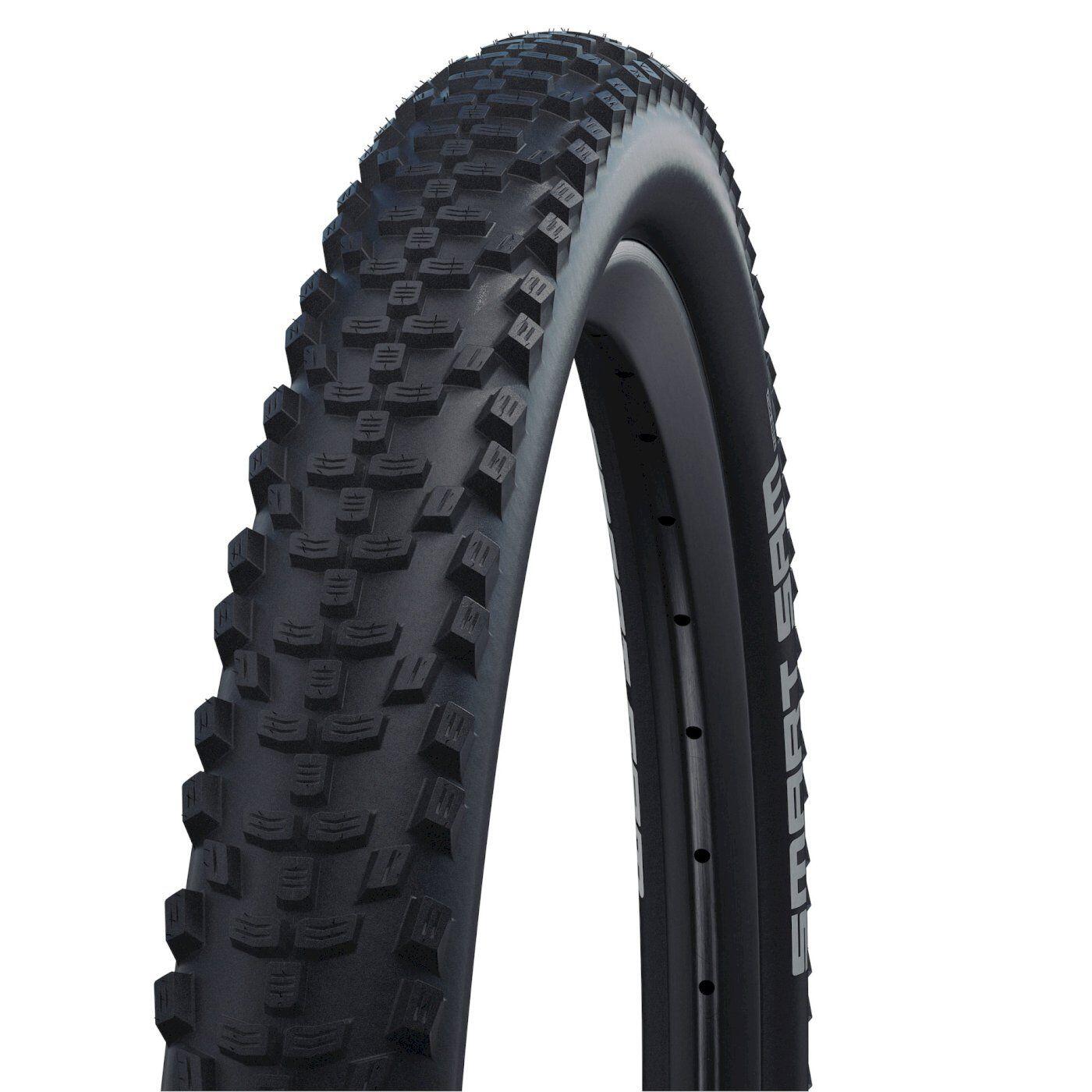 SCHWALBE picture