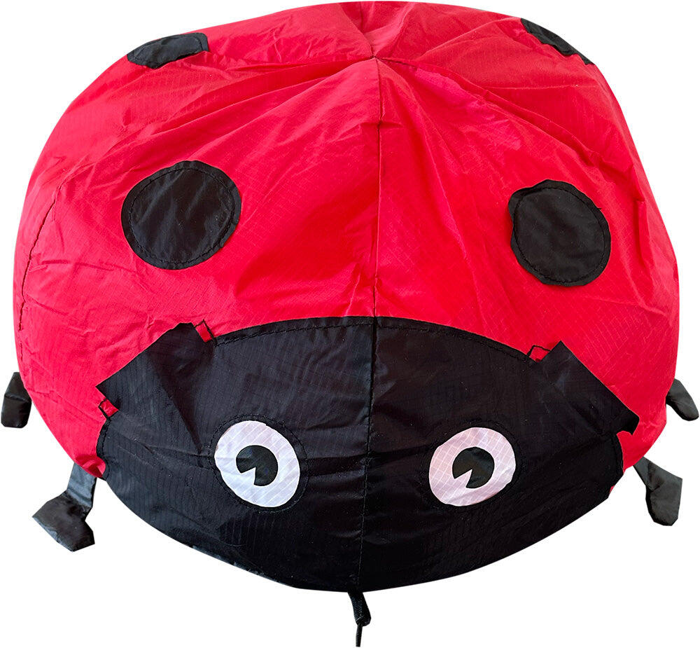 SPIDERKITES picture