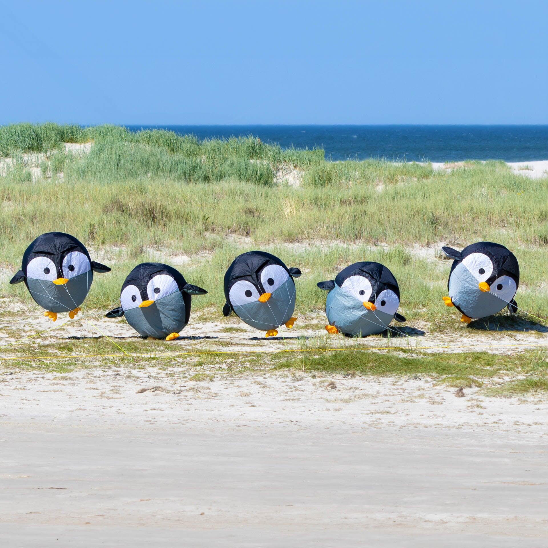 Pinguïn windvaan HQ Kites Birdeez 2/4