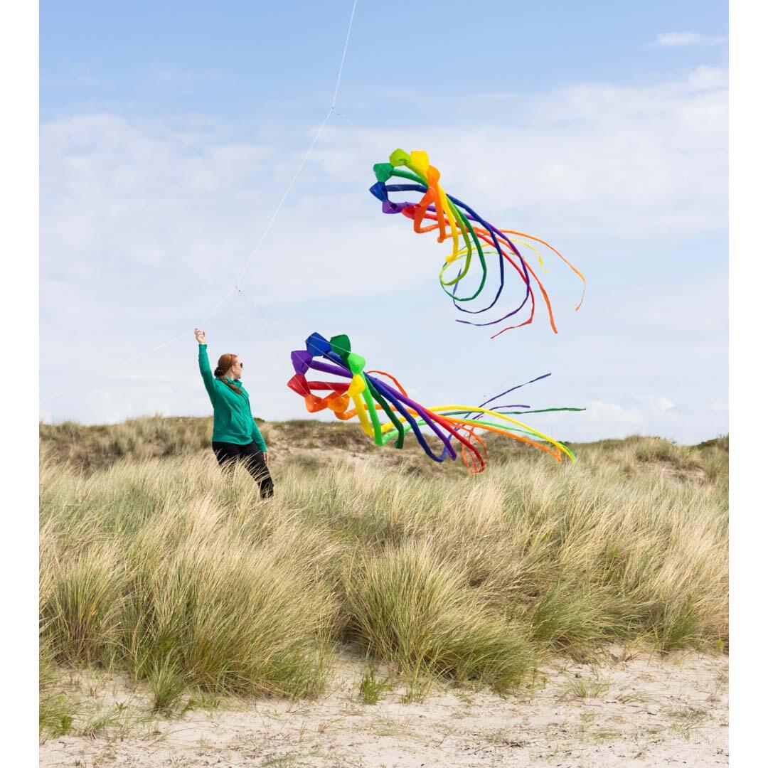 Vliegerstaart HQ Soft Swirl Rainbow 3 m - 8 Colours 126452 Regenboog 43 x 300 cm 5/6