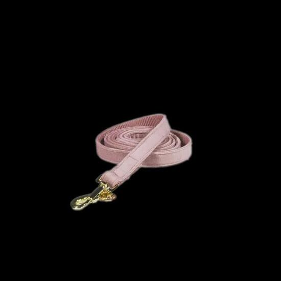 Kentucky Hundeleine Velvet