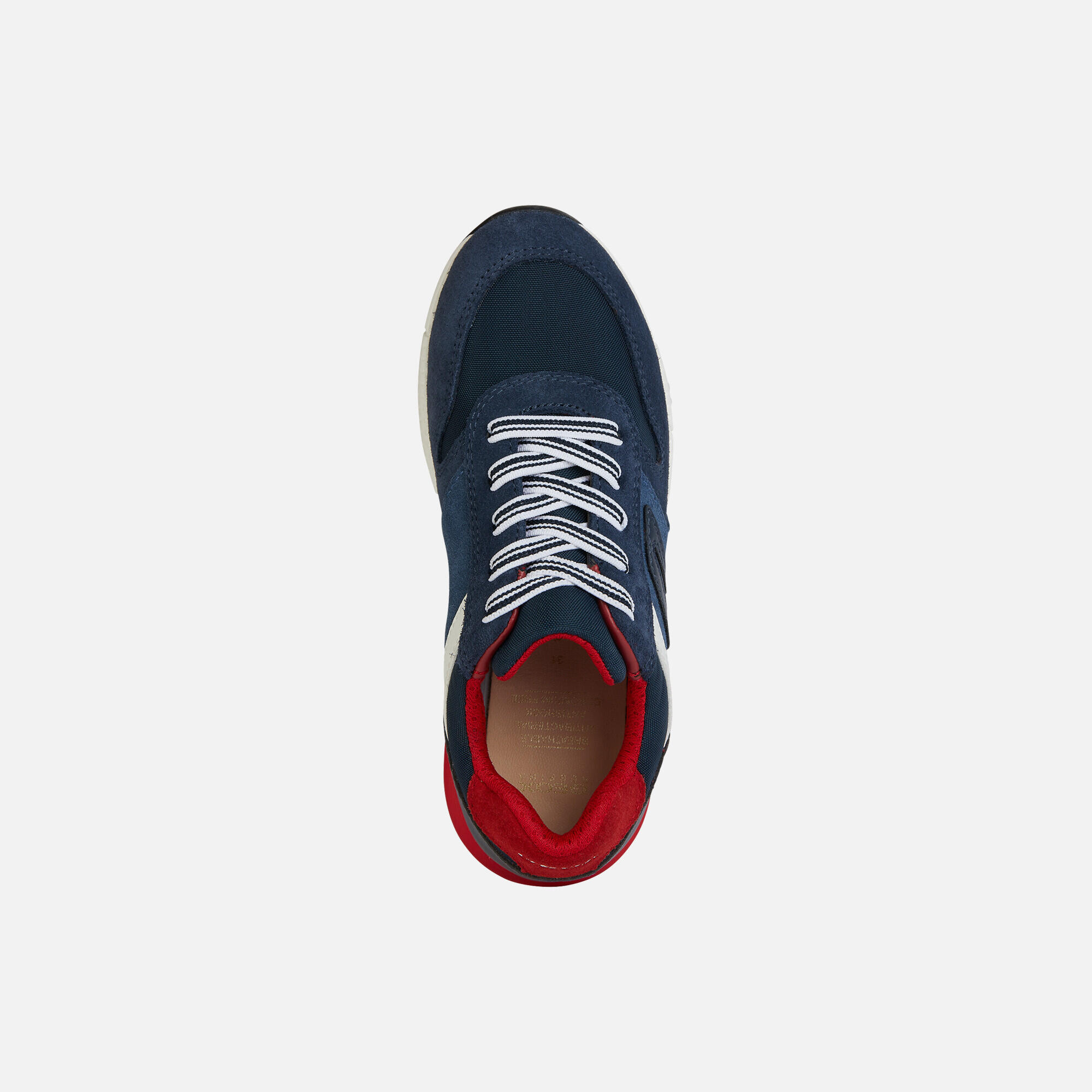 Basket Cuir Junior Geox Alben - Enfant 6/7