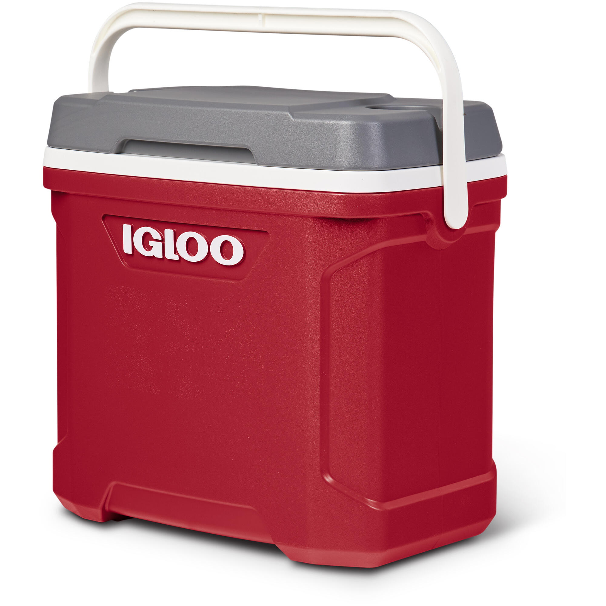 IGLOO picture