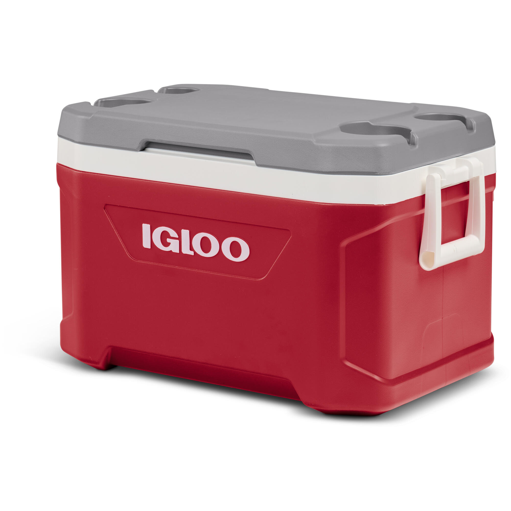 IGLOO picture