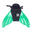 Monopalme Nunui pour juniors et adultes vert