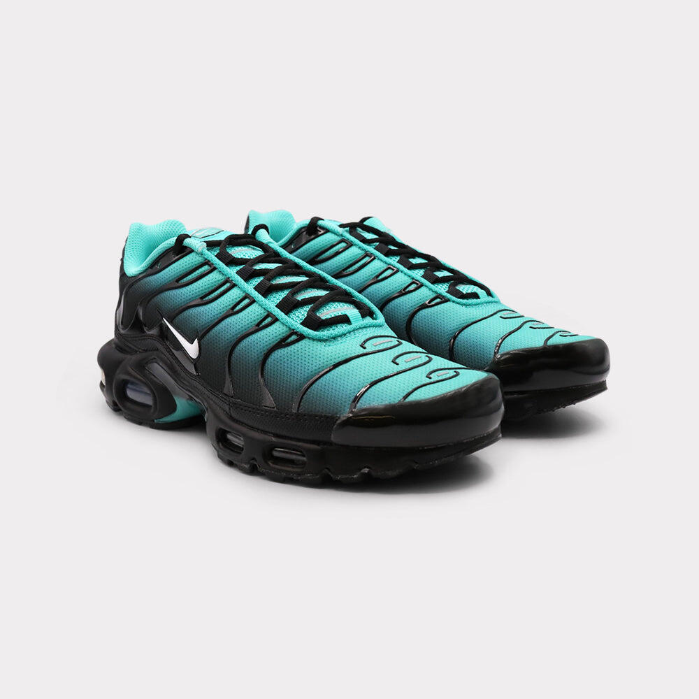 Nike Air Max Plus Light Retro Blue 2/4