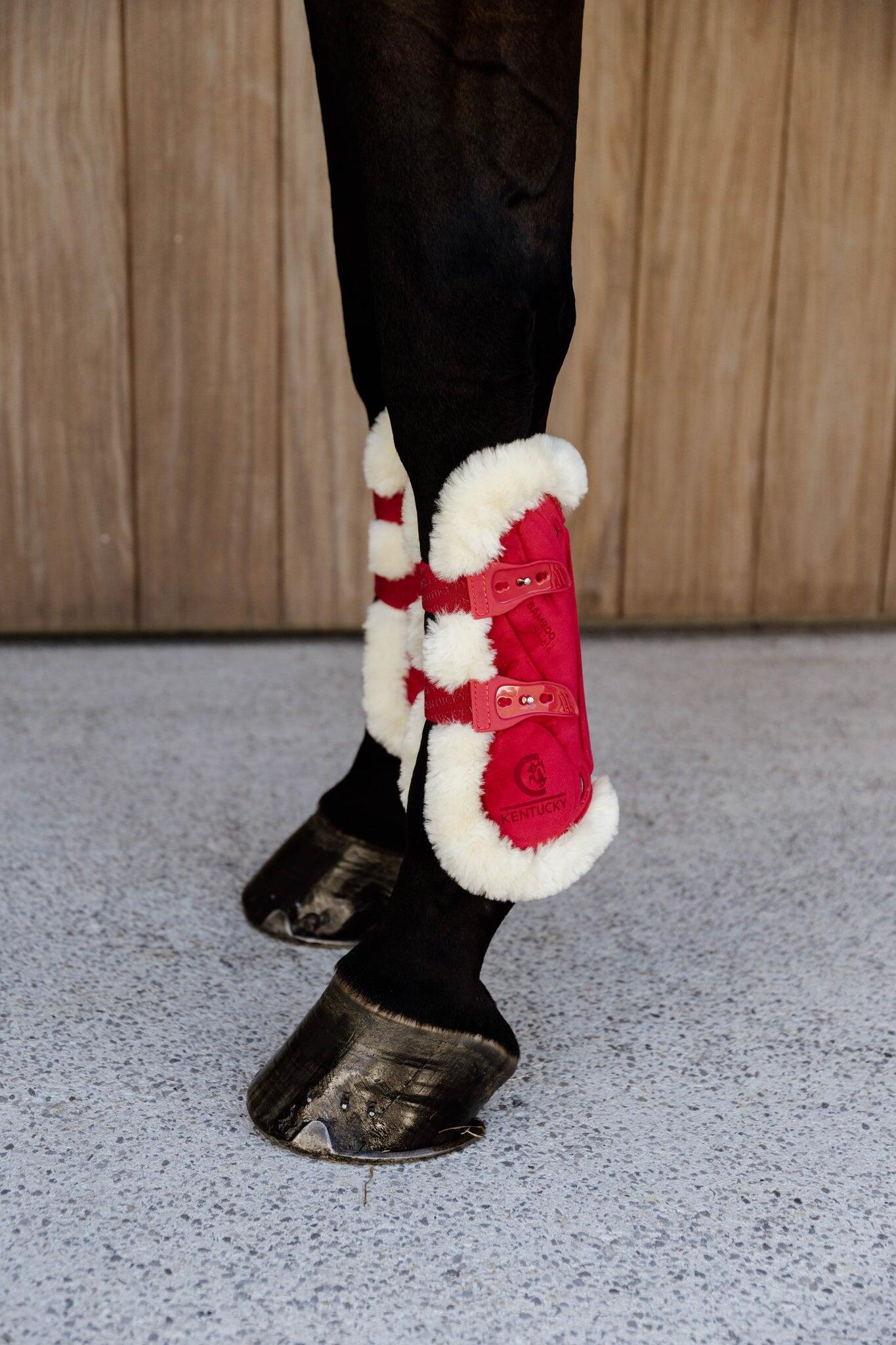 KENTUCKY HORSEWEAR picture