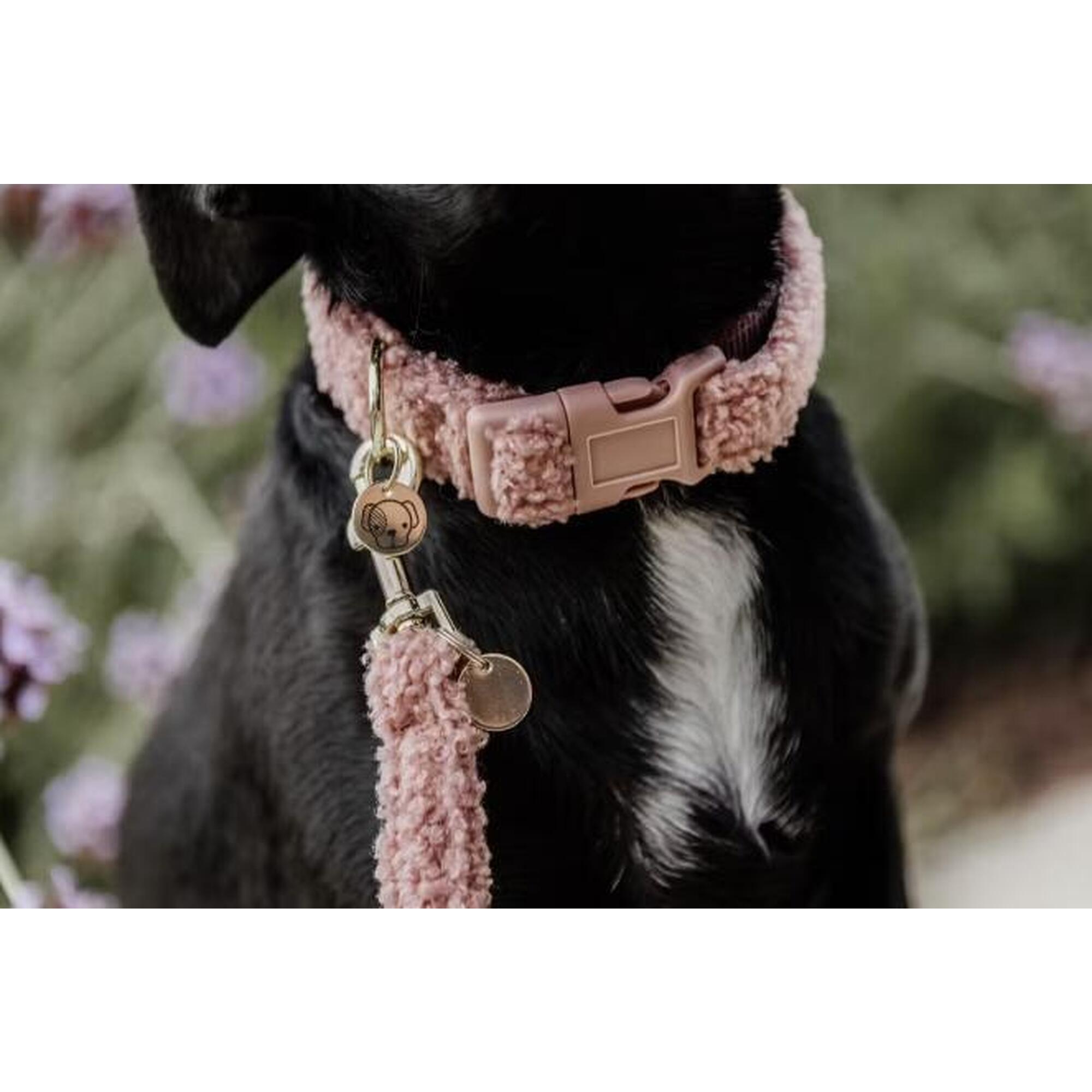 Kentucky Horsewear - Collier Pour Chien Teddy Fleece - Kentucky - Collier - Noir - 48 Xl - Decathlon