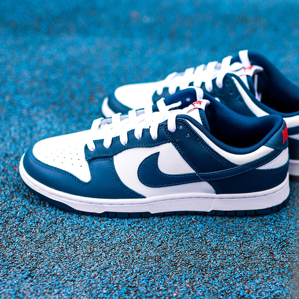 Dunk Low Retro Mens Trainers 5/6