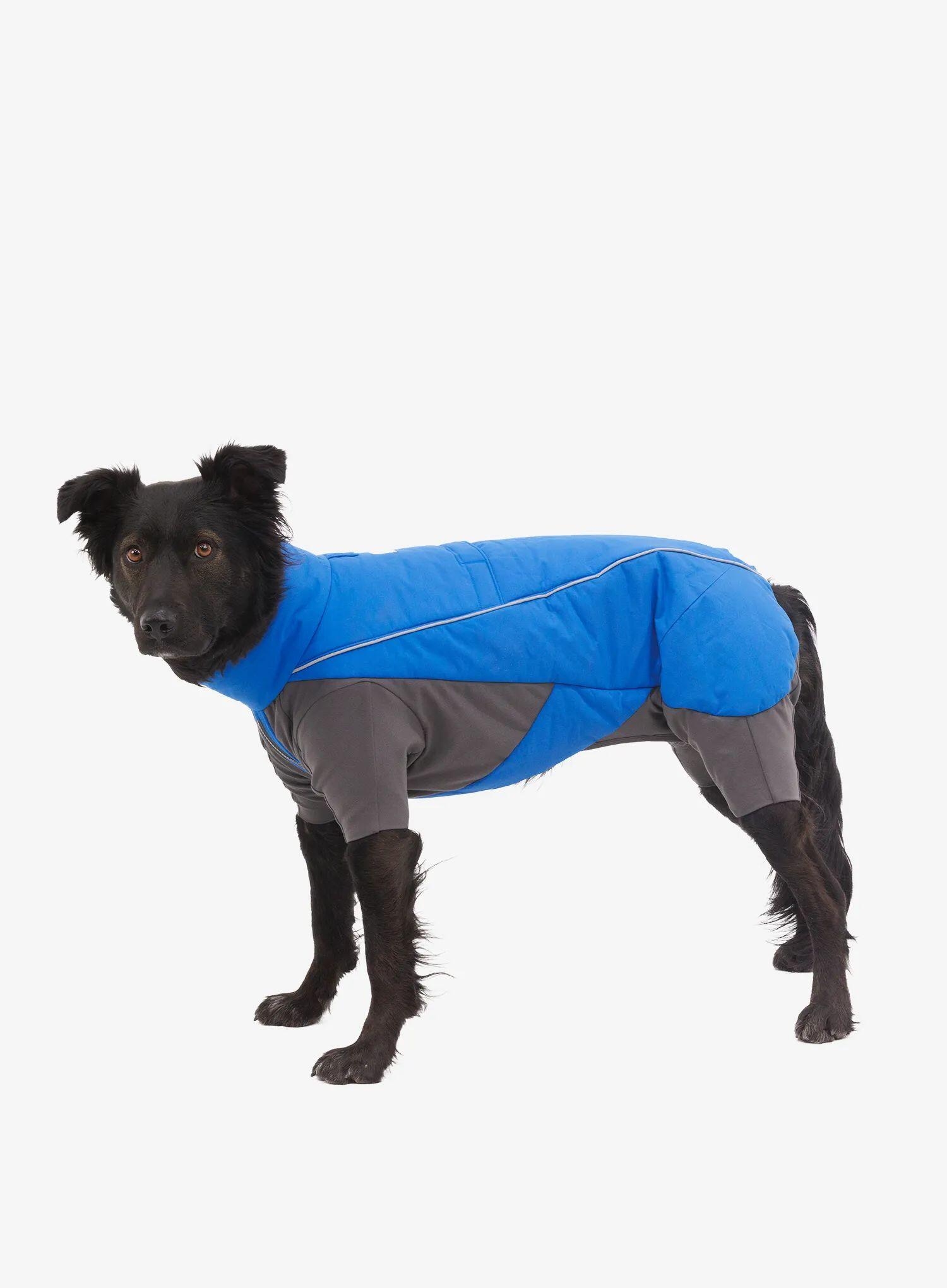 Kombinezon dla psa Ruffwear Vert Coverall 2/5