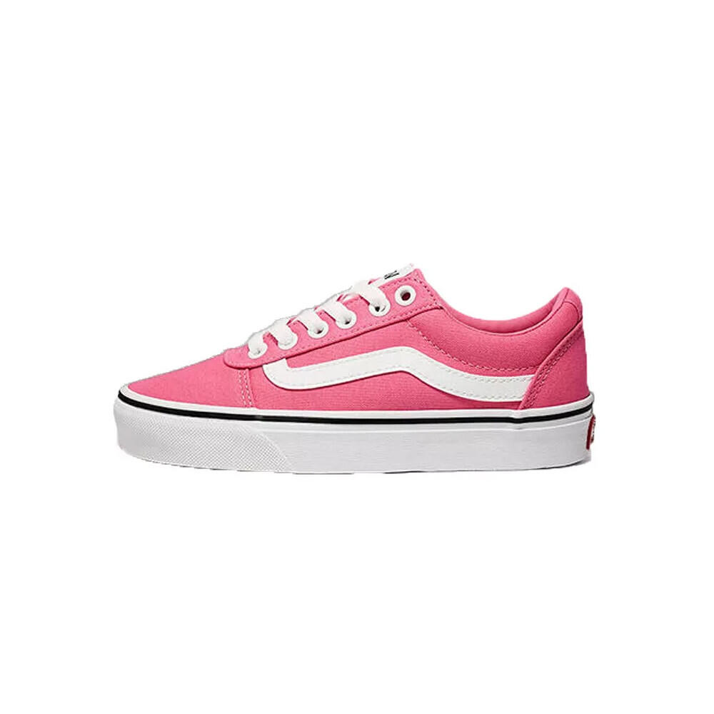 VANS picture