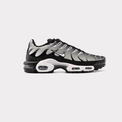 Nike Air Max Plus Black Metallic Silver