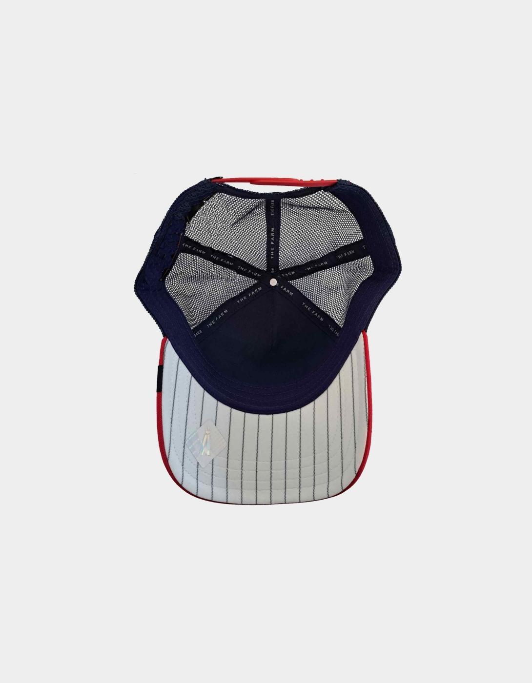 Prendas de cabeza Goorin bros  racing bull Marino 5/5
