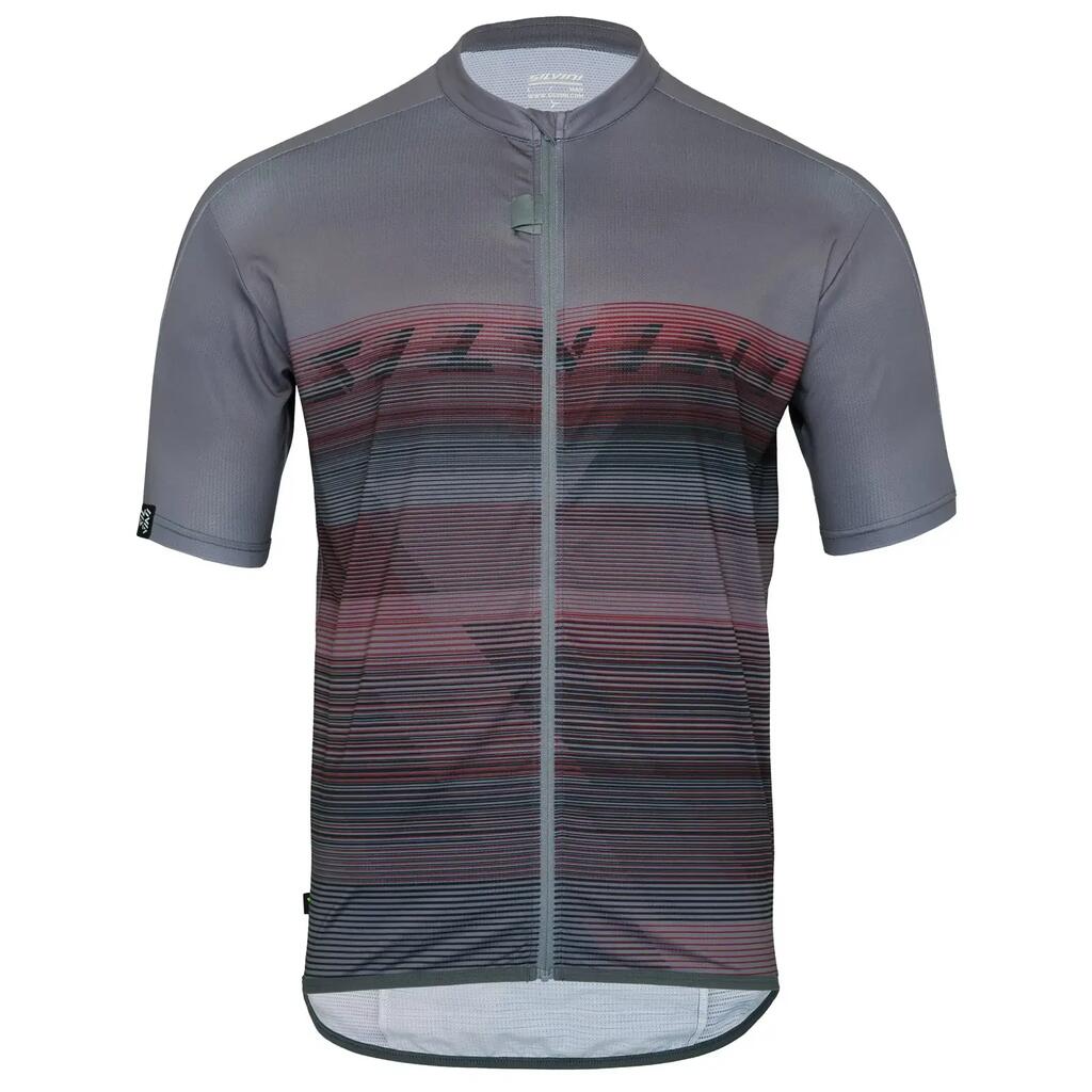 ŠEDÁ