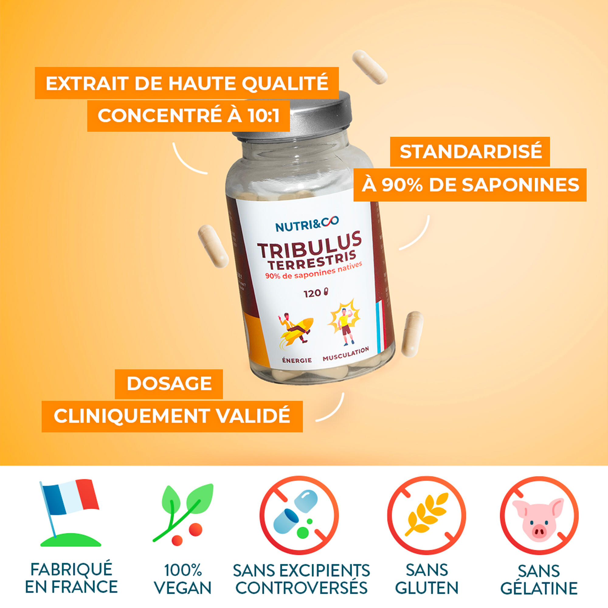 Tribulus Terrestris - 90% Saponines - 120 gélules 3/4